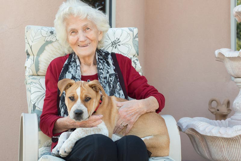 how dogs are helping those in aged care
