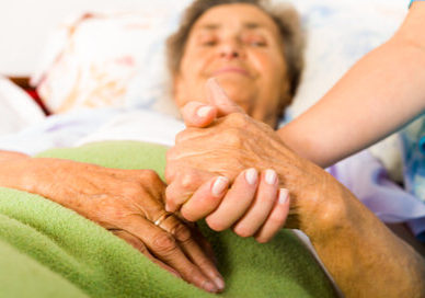 palliative care training courses